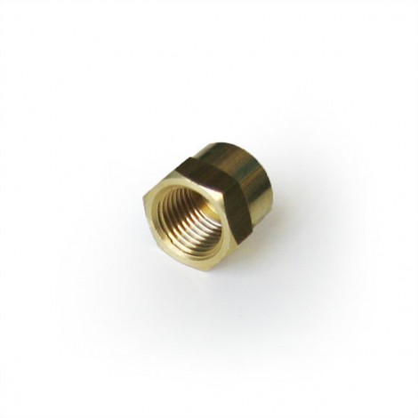 313308 1/2 BSP Brass Cap