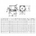 ADN-32-25-I-P-A Compact Cylinder - Female Shaft