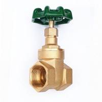 Brass Gate Valves