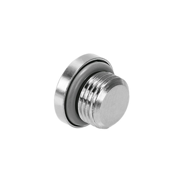 NPQH-BK-G38-P10 3/8 BSP Internal Hex Plug